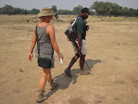 bush walk with Henry Bandure - Mana Pools National Park