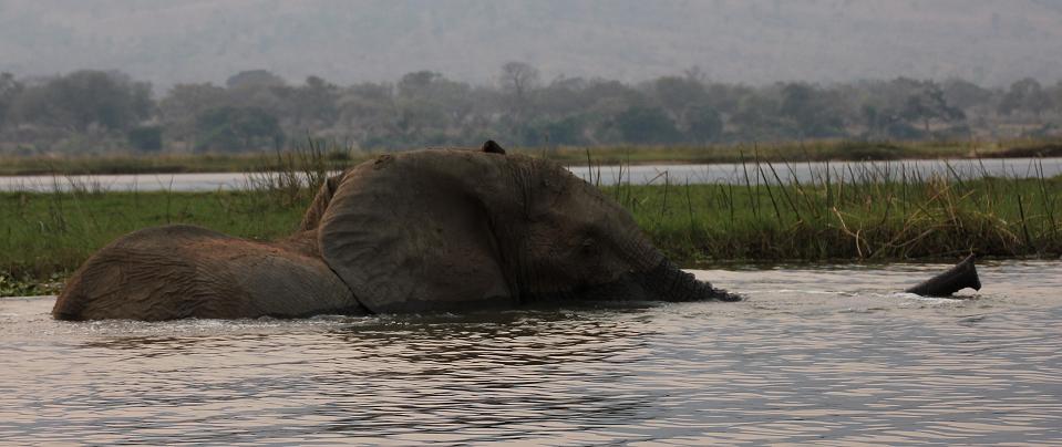 mit dem Kanu auf dem Zambesi, mana pools canoe trail