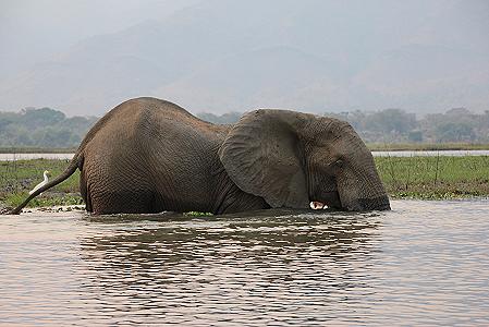 mit dem Kanu auf dem Zambesi, mana pools canoe trail