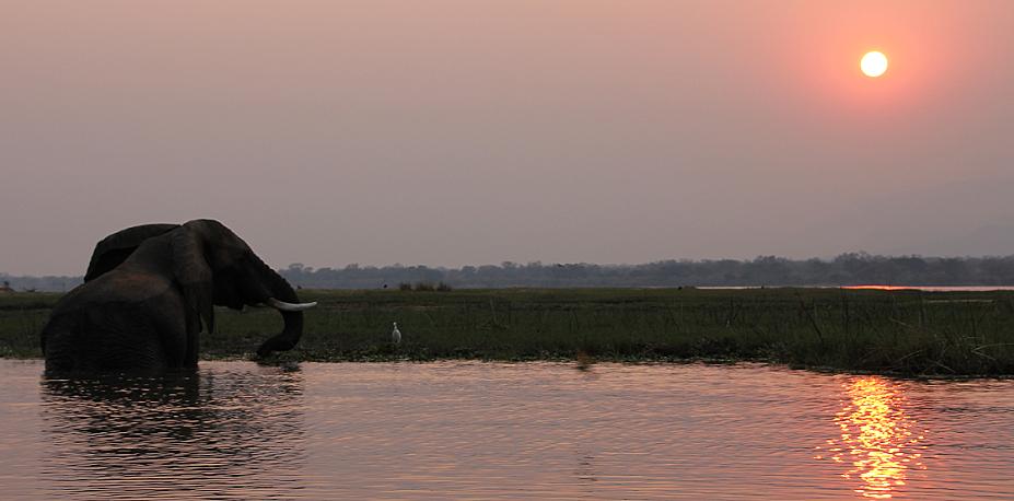 mit dem Kanu auf dem Zambesi, mana pools canoe trail