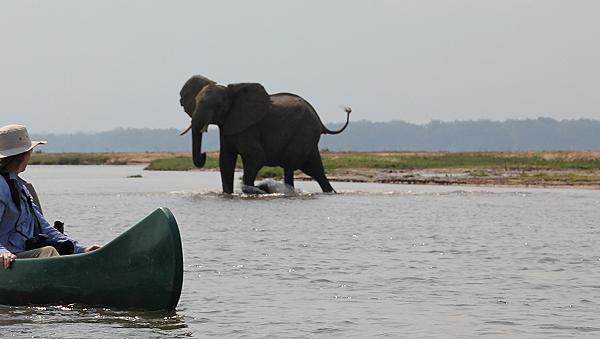 mit dem Kanu auf dem Sambesi, mana pools canoe trail