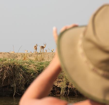 mit dem Kanu auf dem Sambesi, mana pools canoe trail