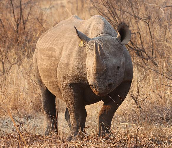 Stanley and Livingstone private game reserve