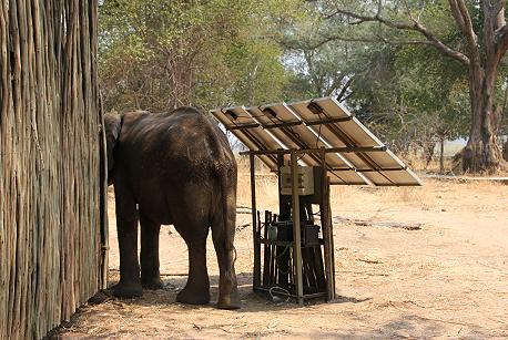 elephants at the bar - Ruckomechi Camp