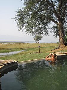 Ruckomechi Camp - Mana Pool National Park