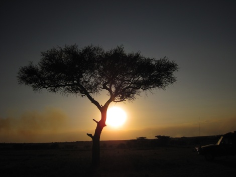 Sundowner in der Masai Mara