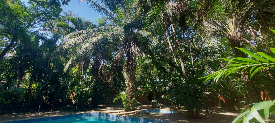 Boko Boko - Porini, Restaurant and Guesthouse