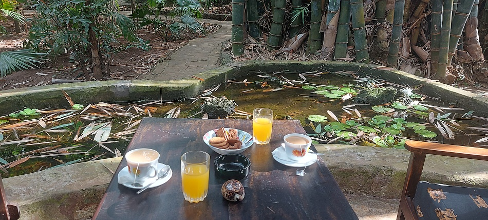 unser Morgen im Boko Boko Guesthouse