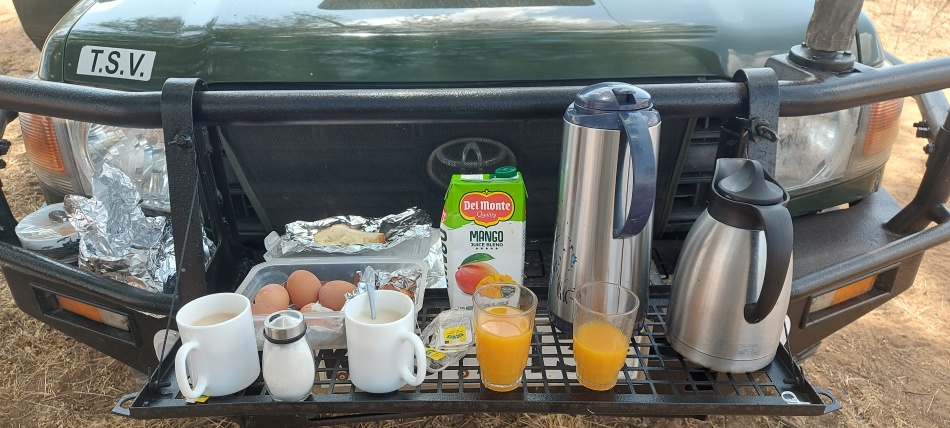 Buschfr&uuml;hst&uuml;ck am Ufer des Ewsso Ngiro Rivers