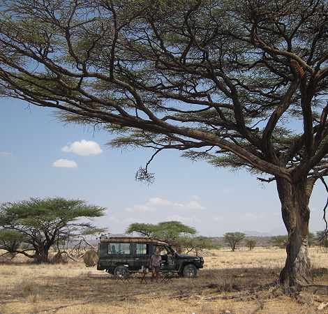 Buschfr&uuml;hst&uuml;ck im Buffalo Springs Reservat
