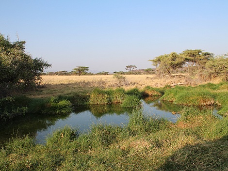 Buffalo Springs Nationalreservat - Quellen