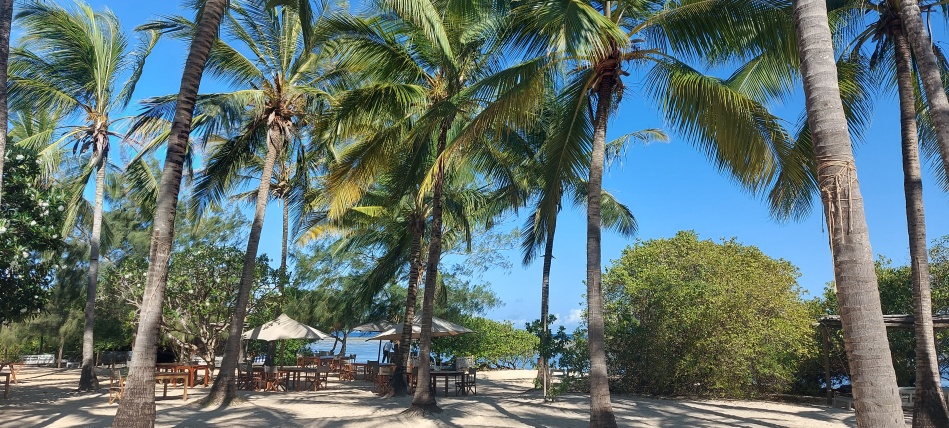 Kuruvitu Beach - Vipingo - Kenya North Coast