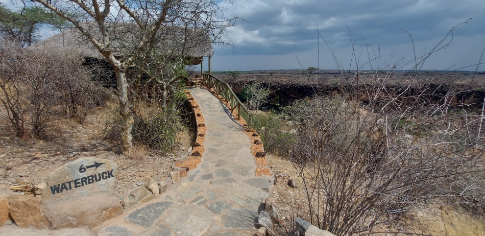 Lions Cave Camp - Archers Post - Samburu