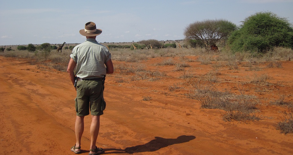 wir beobachten Masai Giraffen im Lumo Conservancy