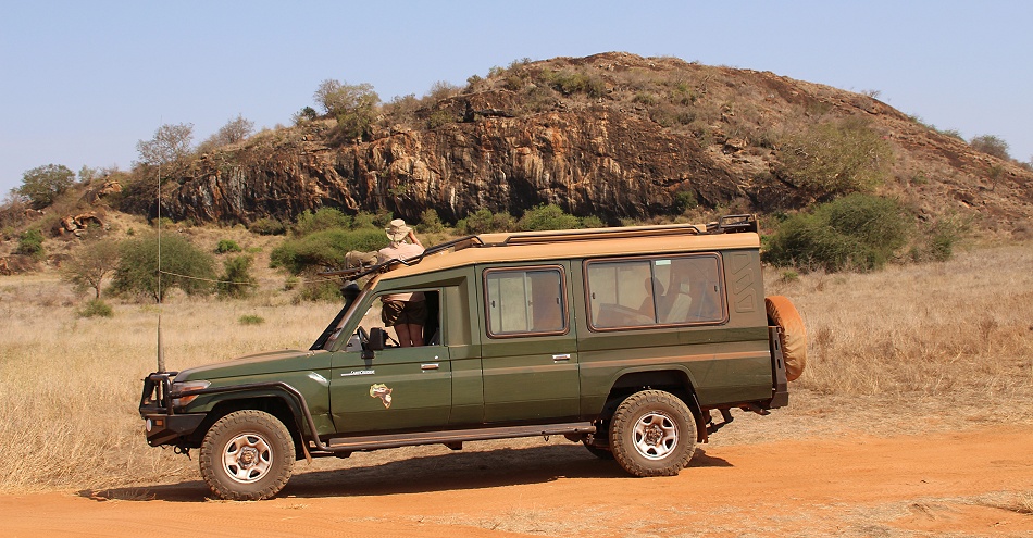 auf L&ouml;wensuche am Lions Rock im Lumo Reservat
