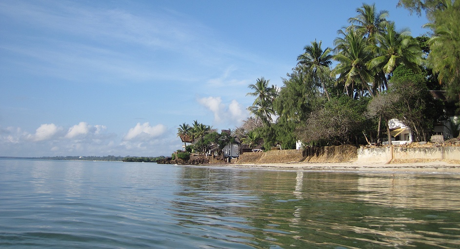 Mbuyu Beach Bungalows