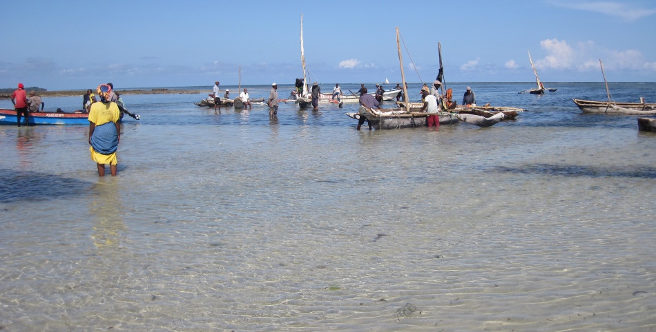 Die Fischer kommen mit ihrem Fang zur&uuml;ck an den Msambweni Beach, Mbuyu Beach Bungalows