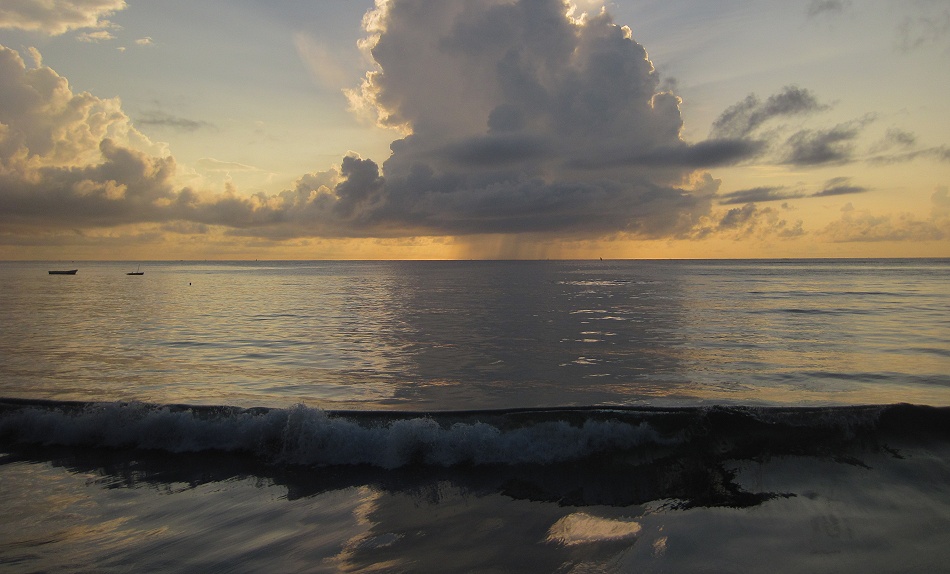 Msambweni Beach, Mbuyu Beach Bungalows