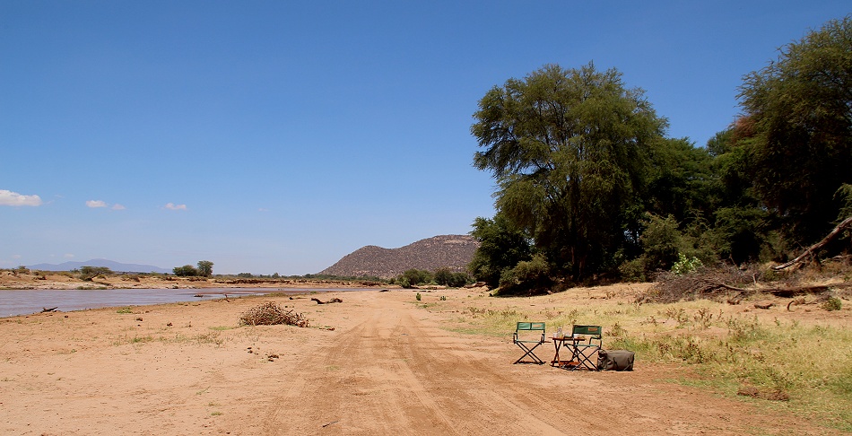 Gro&szlig;er Kudu am Ufer des Ewaso Ngiro