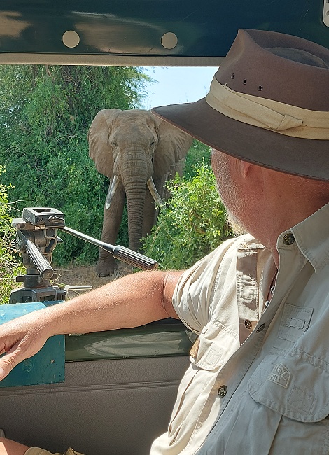 Elefantenbegegnung im Samburu Reservat