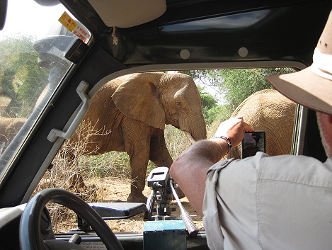 Elefantenbegegnung im Samburu Reservat