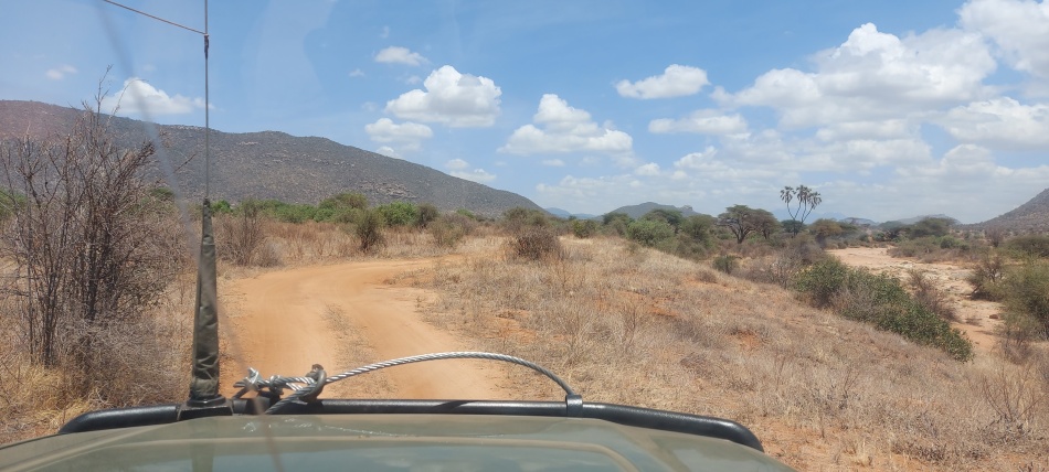 Game Drive in Samburu