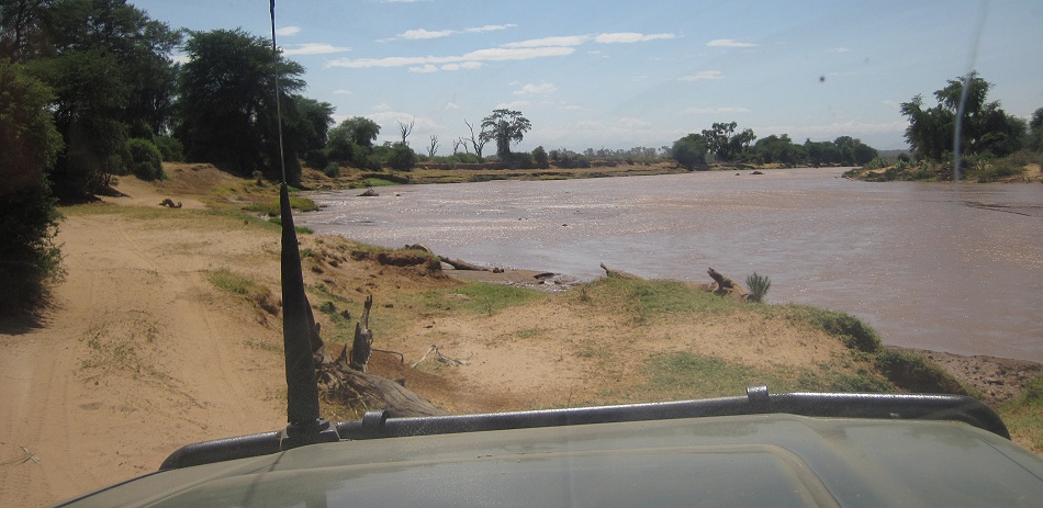 Pirschfahrt am Ufer des Ewaso Ngiro