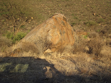 auf Pirschfahrt im Sambu Reservat
