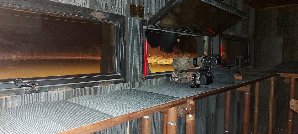 Nachts im Soroi Larsens Camp Photo Hide