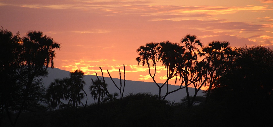 Sonnenaufgang im Samburu Reservat