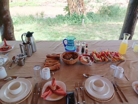 sp&auml;tes Fr&uuml;hst&uuml;ck im Ol Gaboli Camp