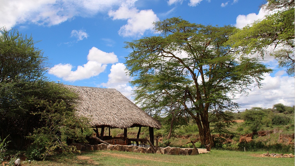 Ol Gaboli Camp - Laikipia