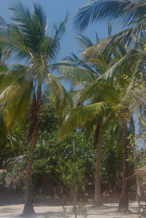 Kuruvitu Beach / Vipingo - Kenya North Coast