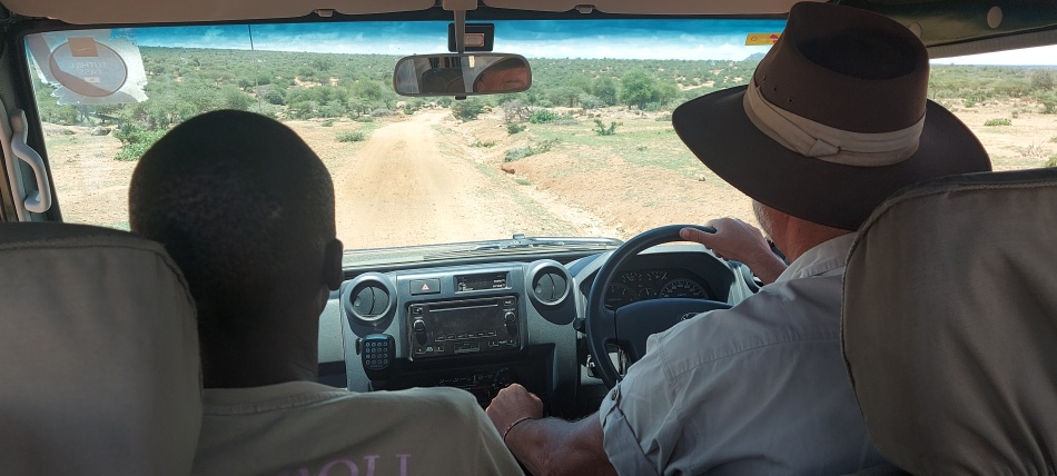 Auf der Suche nach Giza, der schwarzen Leopardin