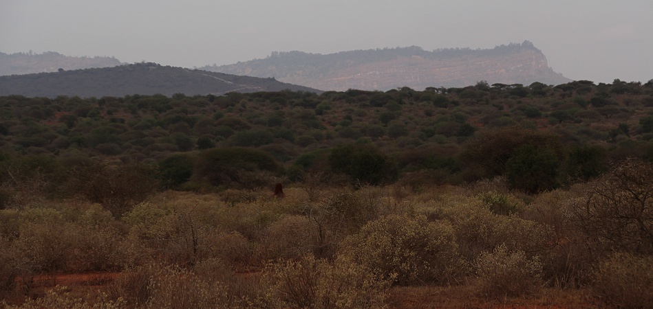 Lumo Conservancy - Landschaft