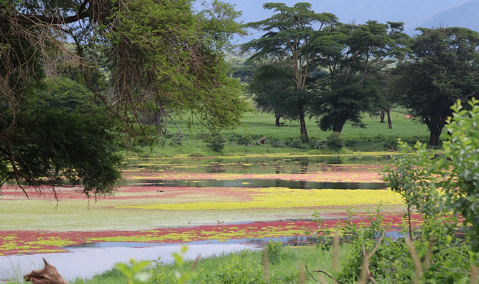 Bura Dam