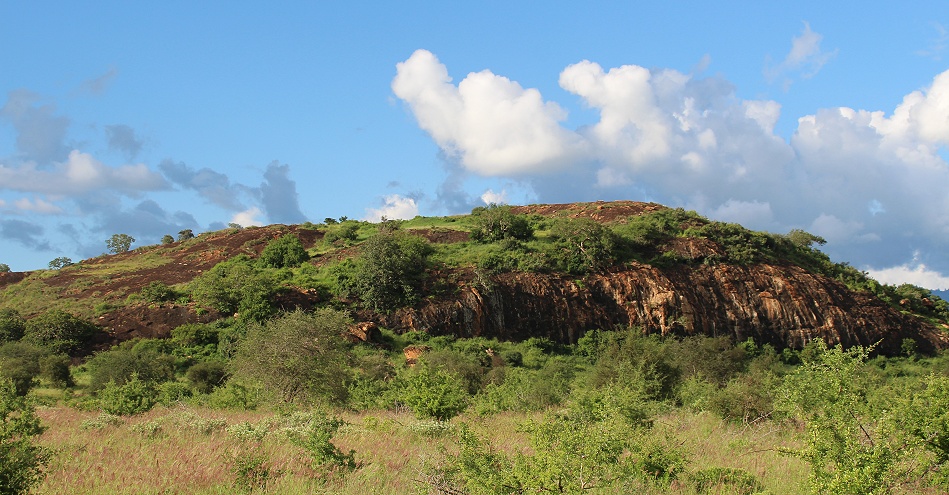 gr&uuml;n bewachsen der Lions Rock im April 2026