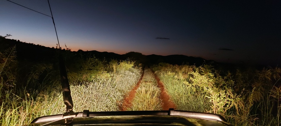 Fr&uuml;hmorgens auf Pirschfahrt im Lumo Conservancy
