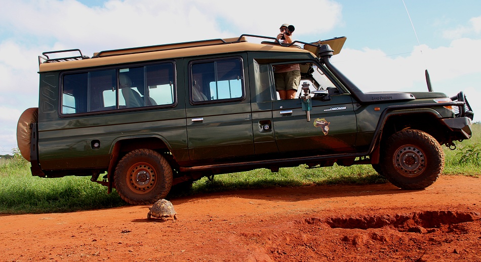 Auf Pirschfahrt im Lumo Conservancy