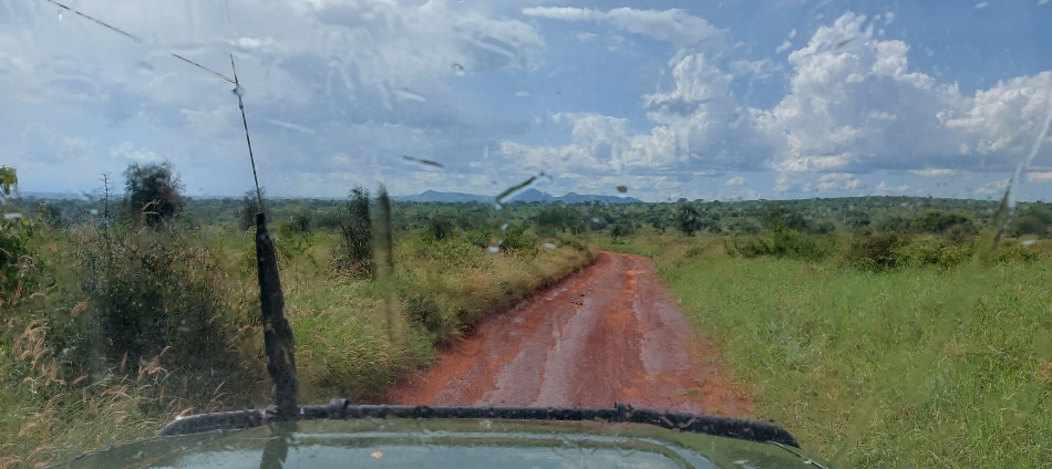 Regenzeit im Lumo Conservancy