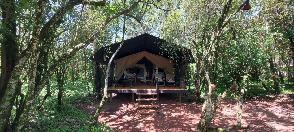Soroi Mara Bush Camp - Ol Kiombo, Masai Mara