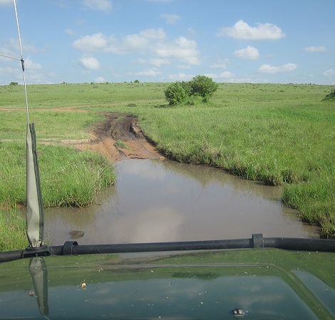 Viel Wasser auf den Pisten in der Masai Mara