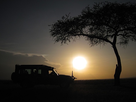 Sundowner in der Masai Mara
